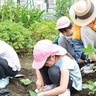 鷺沼町会