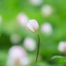 感動の一瞬の裏に、家族の理解あり｜YAMAPフォトコン