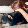 犬が寝ているママに『添い寝した』結果…起こさないように『抱き枕になる光景』が優し過ぎると51万再生「羨ましい」「男前なワンコ」と大絶賛