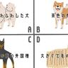 【恋愛心理テスト】目の前に突然犬が!?どんな犬？あなたに訪れるラブストーリーときっかけを活かす恋のストーリーが描かれた映画が分かる