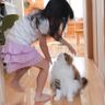 猫が『子供たちとの再会』で飛びつかれたら…まさかの姿が可愛すぎると32万4000再生「ぬいぐるみｗ」「理想の家族」の声