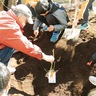 花への愛着持続させたい　篠原小５年　はまみらい移植