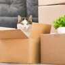 猫との『引っ越し』気をつけるべき4つのポイント　ストレスを少なく乗り切る方法とは