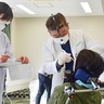 見逃さない　口腔がん　海老名市歯科医師会