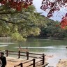 紅葉も楽しめる、初心者歓迎の『ハイキングツアー』が開催されるみたい。諏訪山公園＆森林植物園の2コース