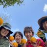 【千葉市美浜区】いそべオレンジを守る会　高齢化などの理由で収穫できない甘夏を無農薬のマーマレードに