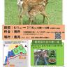 〈奈良市〉鹿苑で産まれたての赤ちゃん鹿の一般公開が今年も開催！（6/1〜7/14）