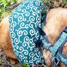 山登り中、突然倒れ込んだ犬…もはやマンガのような『あまりにも可愛い充電切れの瞬間』に6万いいね「完全に0％で笑ったｗ」「たまらん」