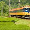 16000系『鶏飯電車』完全予約制で1/26～3/2の土日に運行　大井川鐵道で奄美の郷土料理を召し上がれ