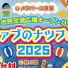 夏の音楽とワークショップが満載
