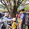 ふれあい科学館　城山公園で生き物観察　自然への理解深める