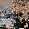 ライトアップで町おこし　プロジェクト立ち上げ