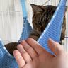 『パパとママで反応が違いすぎる猫』→お互い手を出してみると……まさかの瞬間が78万再生「もう目つきからして違うｗ」「当たり強くて草」