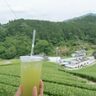 「小山園製茶場」で「茶園さんぽ」を楽しんできた！美しい景色に気分爽快！水出し煎茶も美味し～い！【宇治田原町】