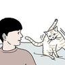 見ると止まる毛づくろい【猫マンガ