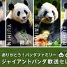 パンダの歓送セレモニー