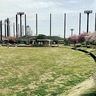 本郷公園　開放的な広場満喫
