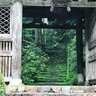 【保存版】京都オススメの神社仏閣『石段』☆豊臣秀吉ゆかり～鴨川源流秘境まで【厳選５所】