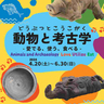 古くから関わりの深かった人間と動物の関係性を紐解く　兵庫県立考古博物館