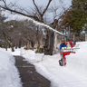 上越市の第100回高田城址公園観桜会に向け公園内の除雪や準備作業進む