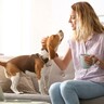 愛犬は自分のことを『人間』だと思うことはあるの？勘違いしてしまう理由や注意点まで