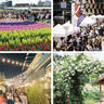今週末の新潟イベント情報｜5/24(土)・25(日)開催