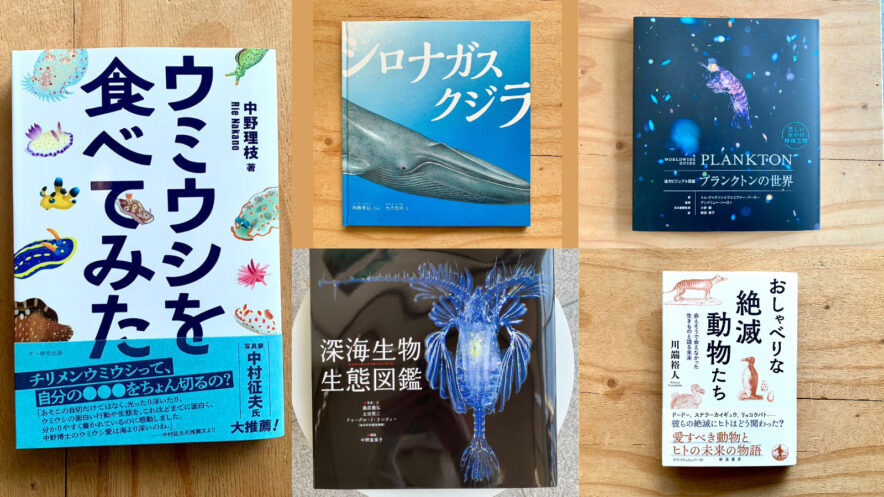 【中古】 スケーリング：動物設計論 動物の大きさは何で決まるのか/コロナ社/クヌート・シュミット・ニールセン スケーリング：動物設計論 動物の大きさは何で決まるのか/コロナ