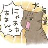 愛猫のトイレ前の雄叫びはなぜ？愛猫の不思議な行動に迫る【猫エッセイ】交通事故にあった猫を拾いました
