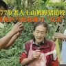 イノシシに襲われた77歳女性、鎌で撃退「勇敢なカンフーばあちゃん」と話題に（中国）