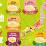 コメダ珈琲店のモーニングにご当地ジャムが登場！あなたの街は何味？