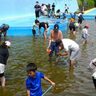 ヤゴ救出作戦！松戸運動公園のプールで6月に実施【松戸市】