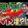 0円で無限増殖！