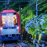 夜の「あじさい」観賞にぴったりな観光列車が箱根を走る　2024年初夏も2週間限定で運行決定