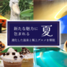 北区「すずらんの湯」に『新浴槽・岩盤浴クールダウン冷汗室』などができてる。グルメも充実