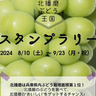 旬のぶどうで味比べも良し！美味しいスタンプラリー　『北播磨ぶどうスタンプラリー』開催　西脇市・三木市・加西市・加東市・小野市・多可町