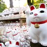 猫が福をもたらしてくれるかも？『猫に縁のあるパワースポット』4選