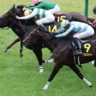 【しらさぎＳ】①②人気の３・４歳牡馬は買ってはいけない！？