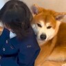 朝、登園準備中の女の子と秋田犬が…同時に見せた『まさかの行動』が107万再生「本当に仲良しなの伝わる」「最高のパートナー」と大絶賛の声