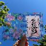 神社巡りの新情報！切り絵や刺繍など“進化系”！季節の「花御朱印」神社まとめ【札幌】