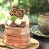 【掛川・春林院】お寺カフェがレベル高すぎ