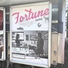 【ババク・ジャラリ監督「フォーチュンクッキー」】アフガニスタンからの移民女性の「孤独」「痛み」「幸せ」とは。米国文化の多層性がくっきり浮かび上がる