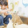 動物たちと触れ合える「アニタッチPARK