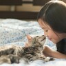 猫と『相性がいい』のってどんな人？5つの共通する特徴　猫との暮らしに向いている理由とは