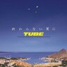 【ミリオンヒッツ1994】TUBE「終わらない夏に」湘南サウンドは日本の夏の必須アイテム！