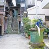 【東京散歩コース】湯島・本郷〜東大と天神さまと文人ゆかりの街だから、知的好奇心満開！〜