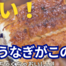 安くてビックリ！本格うなぎがこの価格に…「鰻の成瀬」が全国に急拡大