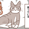 【吉川さん家の猫事情】#55話