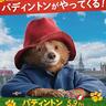 英国一紳士なクマ・パディントンが札幌＆旭川にやってくる！映画公開記念イベントを要チェック