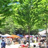【生駒市】奈良先端科学技術大学院大学でフリーマーケットに出店しよう！