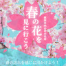 【春の花を見に行こう】新潟市内の花の名所を紹介。春の訪れを感じにお出かけしよう！